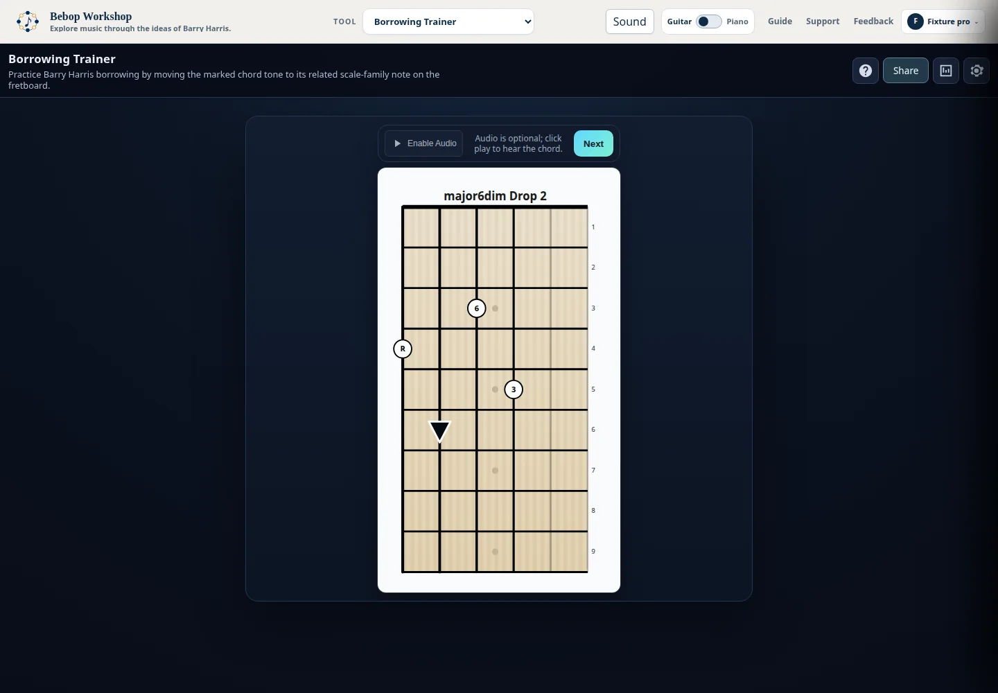 Borrowing Trainer showing a borrowing question on a guitar fretboard.